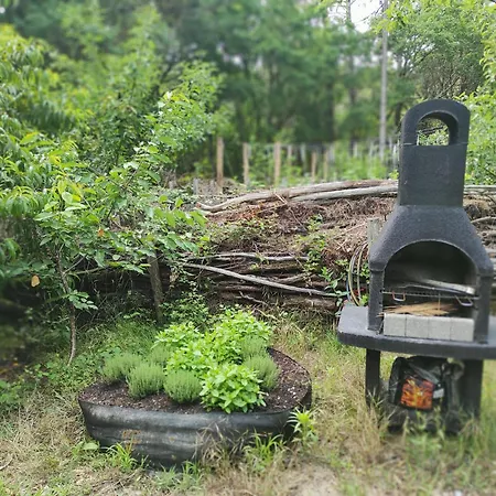 Eco-lodges Moutchic - 4 Pers Daire