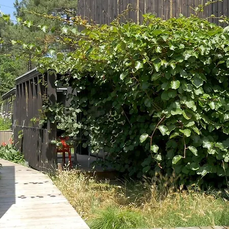 Eco-lodges Moutchic - 4 Pers *