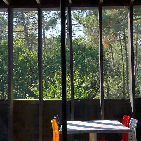 Eco-lodges Moutchic - 4 Pers * Lacanau