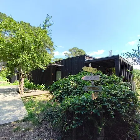 Eco-lodges Moutchic - 4 Pers