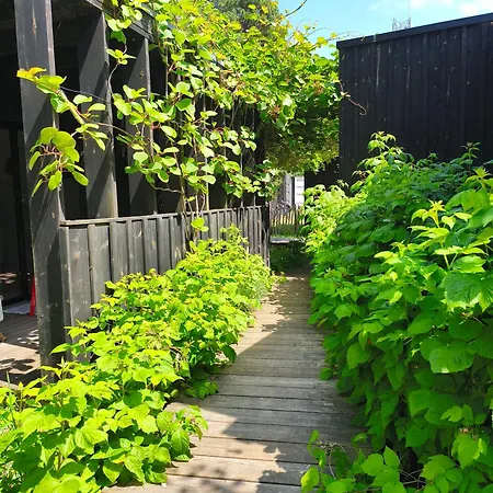 Eco-lodges Moutchic - 4 Pers Daire *