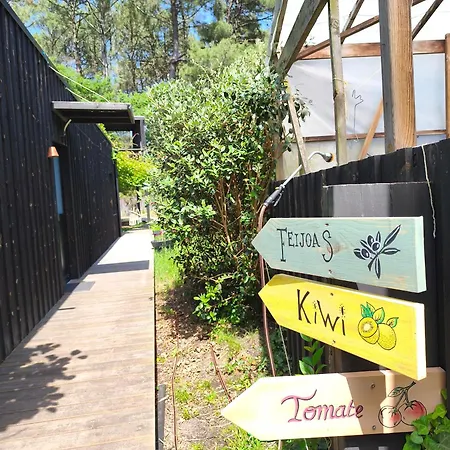Eco-lodges Moutchic - 4 Pers