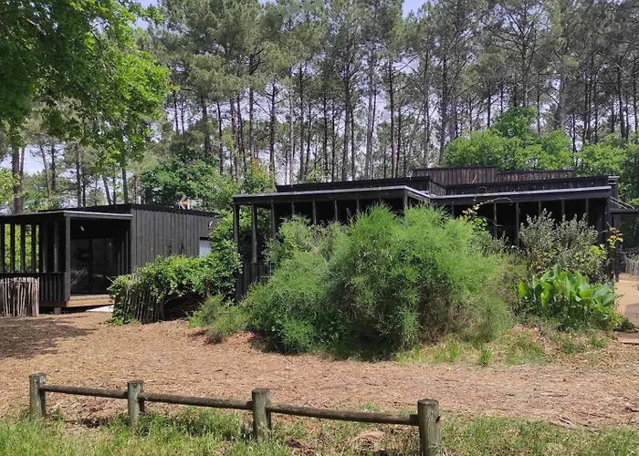 Eco-lodges Moutchic - 4 Pers شقة *