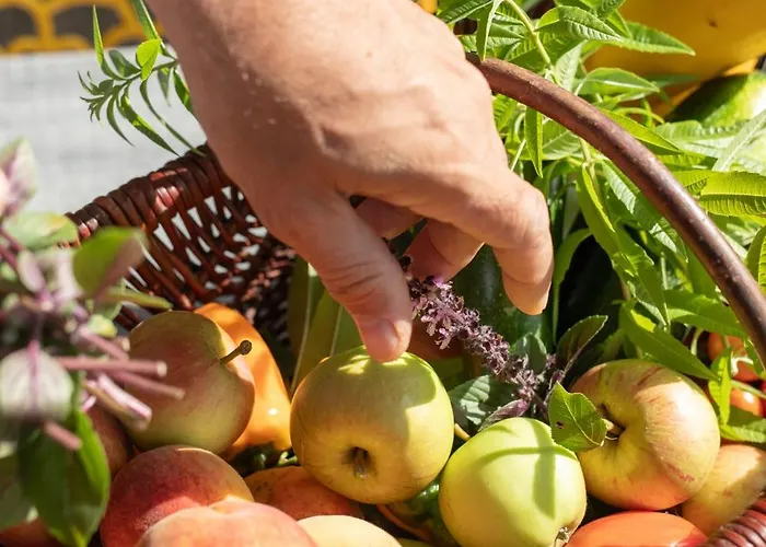 Eco-lodges Moutchic - 4 Pers لاكانو