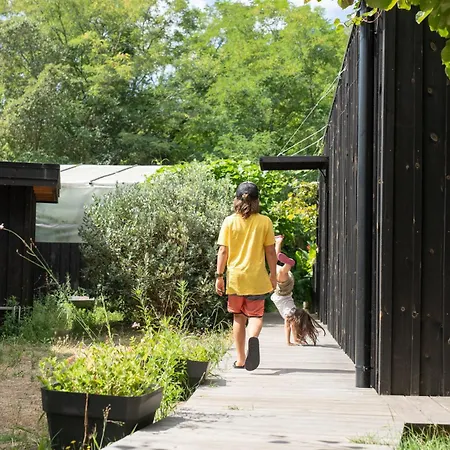 Apartment Eco-lodges Moutchic - 4 Pers *